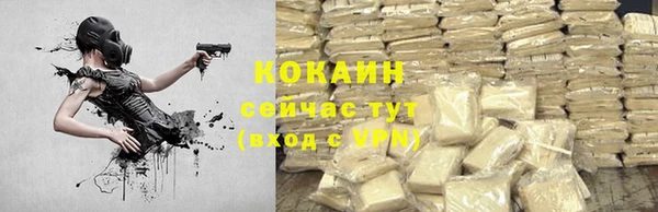 индика Михайловка