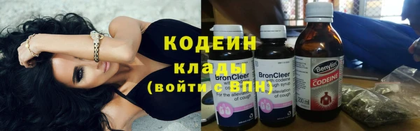 индика Михайловка