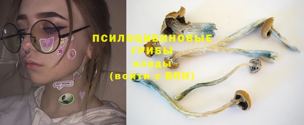 дживик Михайлов