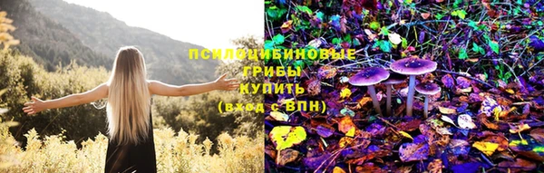 дживик Михайлов