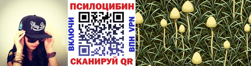 Галлюциногенные грибы Psilocybe  Воронеж 